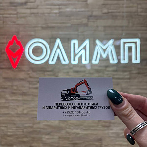 Наше портфолио - Визитки для компании "Трансгеопроект"